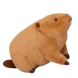 Coussin Loutre | Magnifique Oreiller pour Dormir Loutre, Oreiller Jouet...