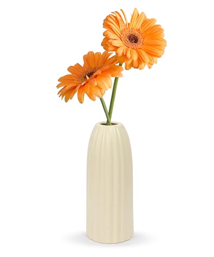 Image of SPHINX Ribbed Pipe Ceramic Vase for Flowers, Pampas Grass, or Live Plants | Decorative Home & Office Centerpiece Gift - No Flowers- (White, 9 Inch)