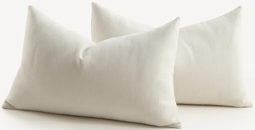 MANDIOO Pack of 2 Chenille Throw Pillow Covers Elegant Design Soft and Luxurious Decorative Cushion Covers Pillowcase Couch Sofa Bedroom Living Room Home Decor 16x24 Inch Cream White