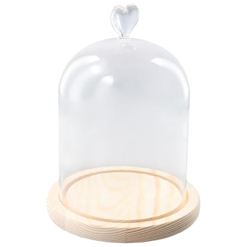Dewocke Campana de Cristal con Base de Madera, Cúpula Cristal de 15 cm, Campana Decorativa de Cristal, Cúpula de Cristal Transparente, Urna de Cristal para Luces, Antigüedades, Decoraciones de Mesa