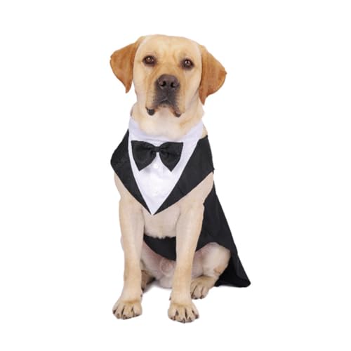 Disfraz formal para perro DOITOOL estilo esmoquin XL miniatura 3