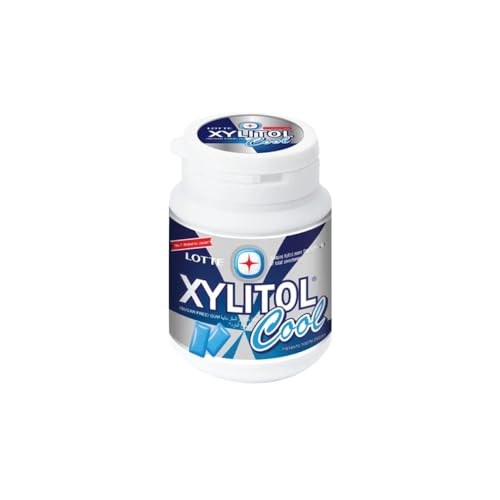 Loot Xylitol Cool Chewing Gum Mint Flavor 58g