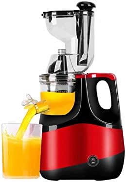 Slow Masticating Juicer Cold Press Juice Extractor Apple Orange Citrus Juicer Machine with Wide Chute Quiet Motor for Fruit Vegetables