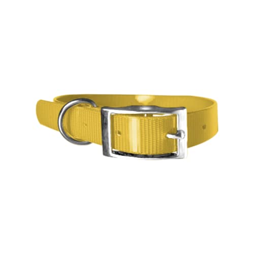 Biothane Gold - Collare per cani da 2,5 cm di larghezza, lunghezza a scelta, ultra resistente (65 cm, giallo 317)