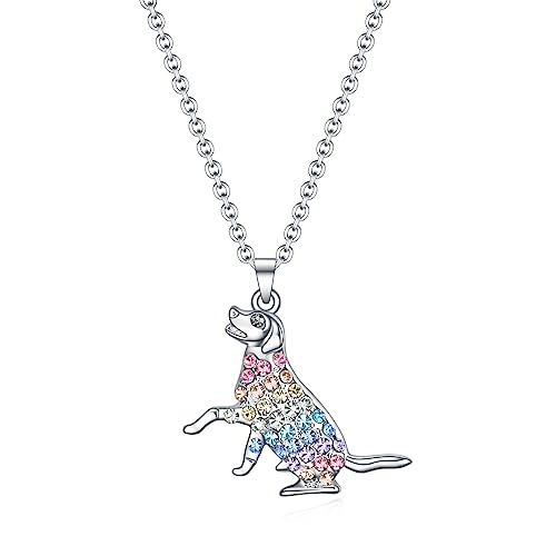 SUMFAN Keepsake Dog Necklace for Girls,Dogs Gifts for Dogs Lovers,Dog Lover Memorial Gifts