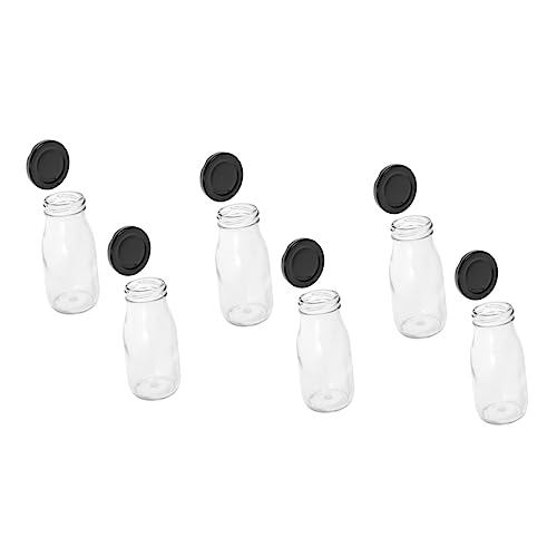 Ciieeo 6KX~N{g ᳕t L݌v t̕ۑp e  [Og  X[W[ۑ KKXr