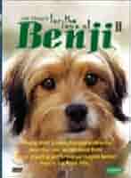 ベンジー　ベンジーの愛　DVD ／2作品セット Benji : 2-Pack 2-Disc Set - (DVD) New 18713833624| eBay