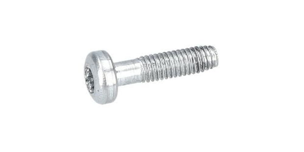 3603435047 Torx Pan Head Screw for Concrete Sander BOSCH TOOLS