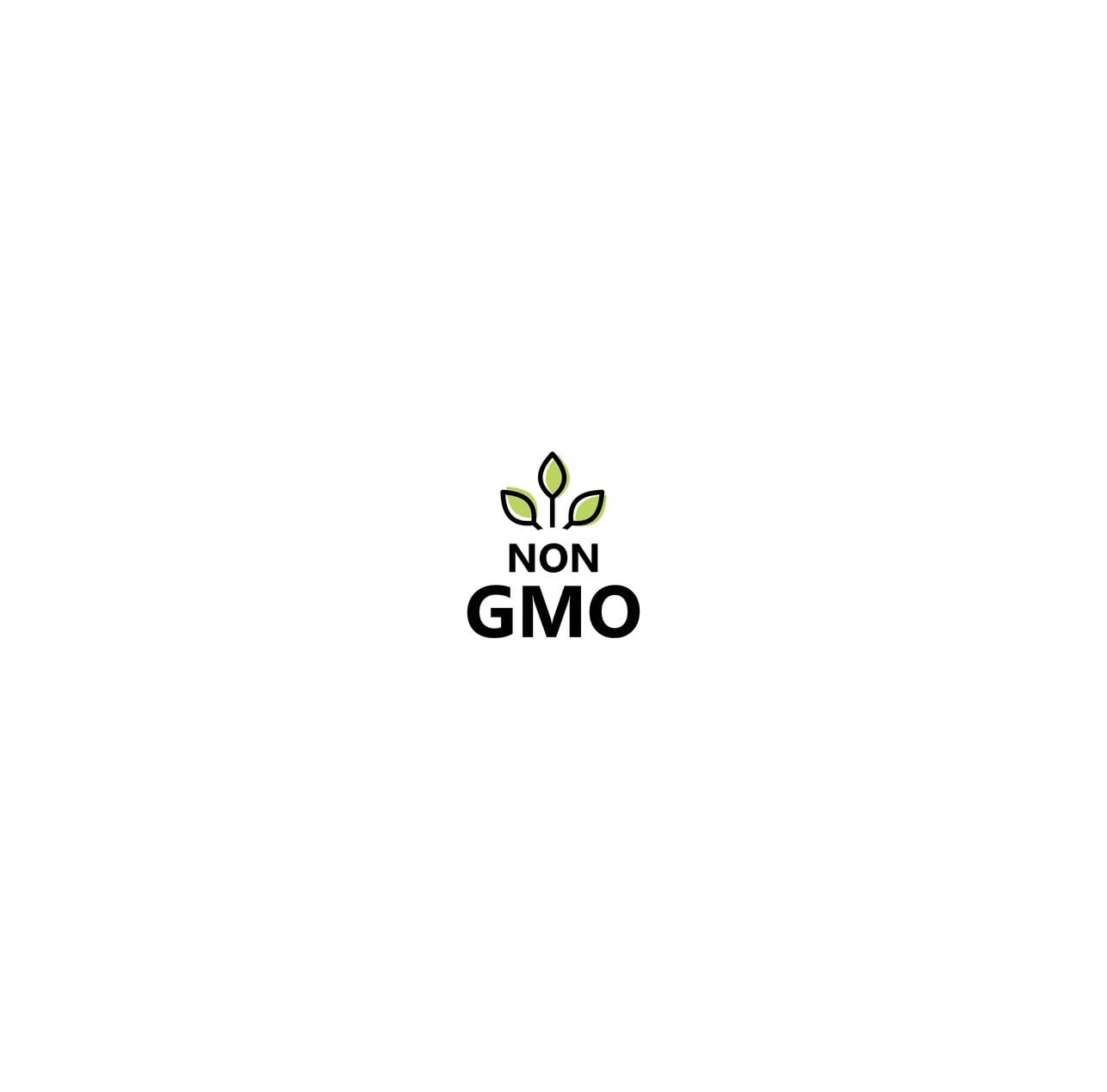 Poudre d'extrait de gingembre noir thaïlandais bio – Améliorateur culinaire et bien-être pur et puissant – Qualité supérieure, 100 % naturelle et certifiée biologique – Végétalien, sans
