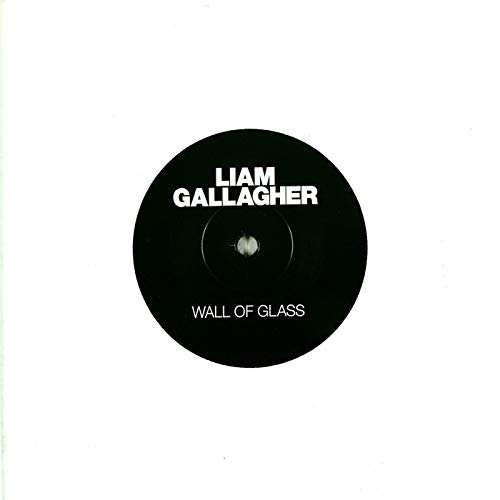 Wall of Glass [Vinilo]
