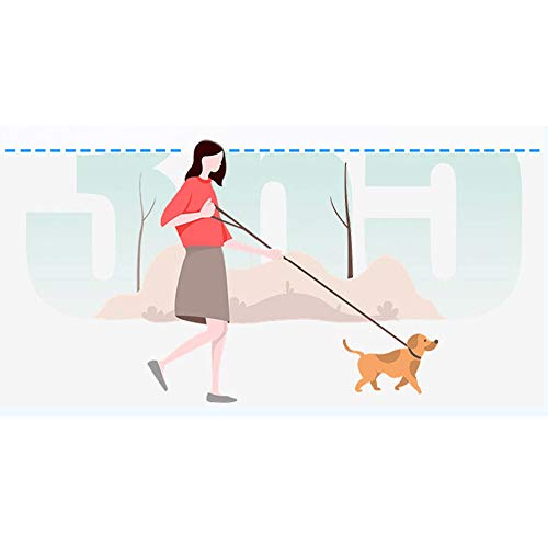 CINY Guinzaglio per Cani Retrattile, per Animali