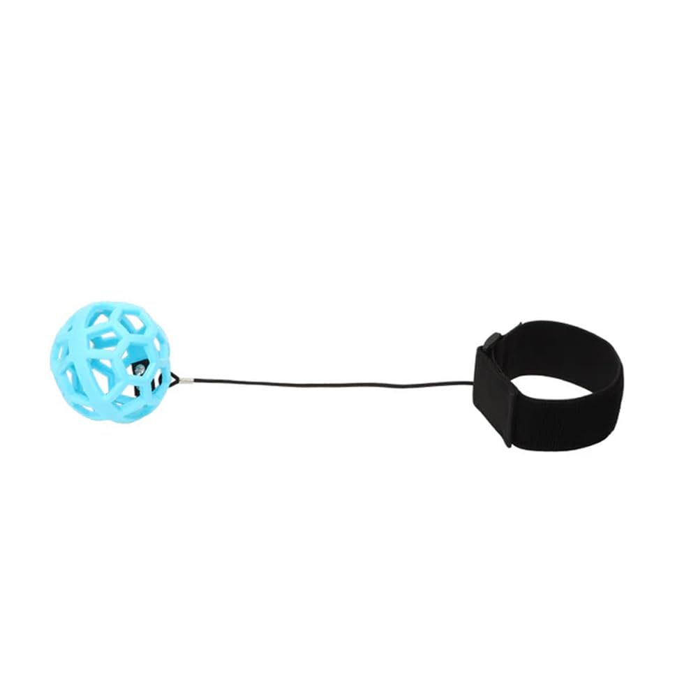 Amazon | SIN ANA BALL シンアナボール 坂元式ボール練習器 | SIN ANA