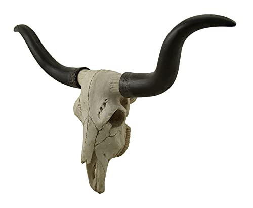 Zeckos Black & Bone Decorative Longhorn Trophy Skull Wall Sculpture 20 Inch Long #TOP1