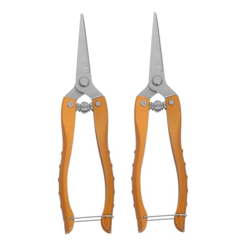 LIFKICH 2 piezas Tijeras de Poda para Jardín Inoxidable Podadoras Resistentes para Flores y Plantas Pequeñas Herramienta Profesional para Corte de Ramas y Bonsáis Color Dorado