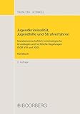 Jugendkriminalität, Jugendhilfe und Strafverfahren: Sozialwissenschaftlich-kriminologische Grundlagen und rechtliche Regelungen (SGB VIII und JGG), Handbuch