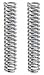 Century Spring C-516 2 Count 1 in. Compression Springs