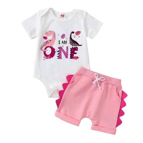 Toddler Baby Boy Girl Birthday Outfit Dinosaur Short Sleeve Romper/Shirt Shorts Set 1st-3rd Birthday Outfit