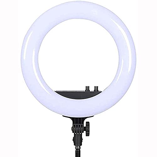 FACAZ Ringlicht, Led Portable Live Stream Ringlicht Foto Make-up Doppelte Farbtemperatur Fotografie Soft Light Shooting…