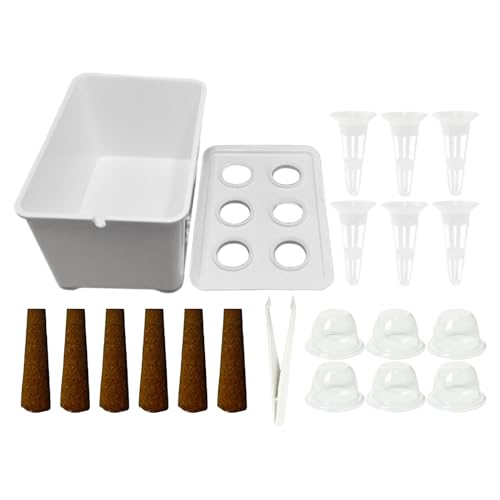 cpgC - pɐBJo[   | |HgC |     ItBX oR j[ Ő 뉀 