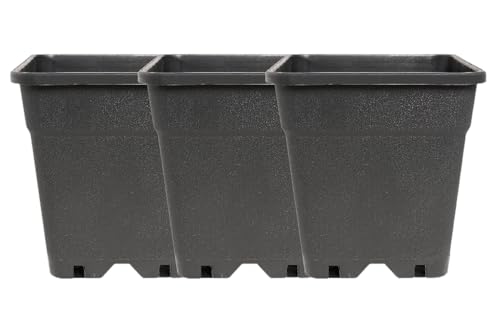 Generisch 3 x Pflanztopf in Verschiedene Größen Anzucht Töpfe Grow viereckig Kübel (11 L / 24 x 24 x 27 5 cm)