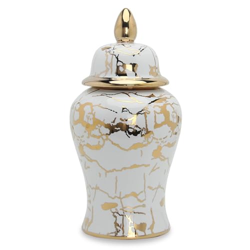 Pots de rangement en céramique avec couvercle et vase à gingembre déco