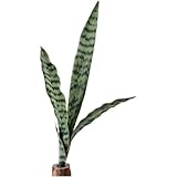 Gettimore Künstliche PVC-Schlangenpflanze Gefälschte Grünpflanzen für Heimdekoration, Hochzeitsarrangements und Fotografie-Requisiten, pflegeleichtes lebensechtes Design mit 4 Blättern