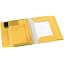 Warm Yellow