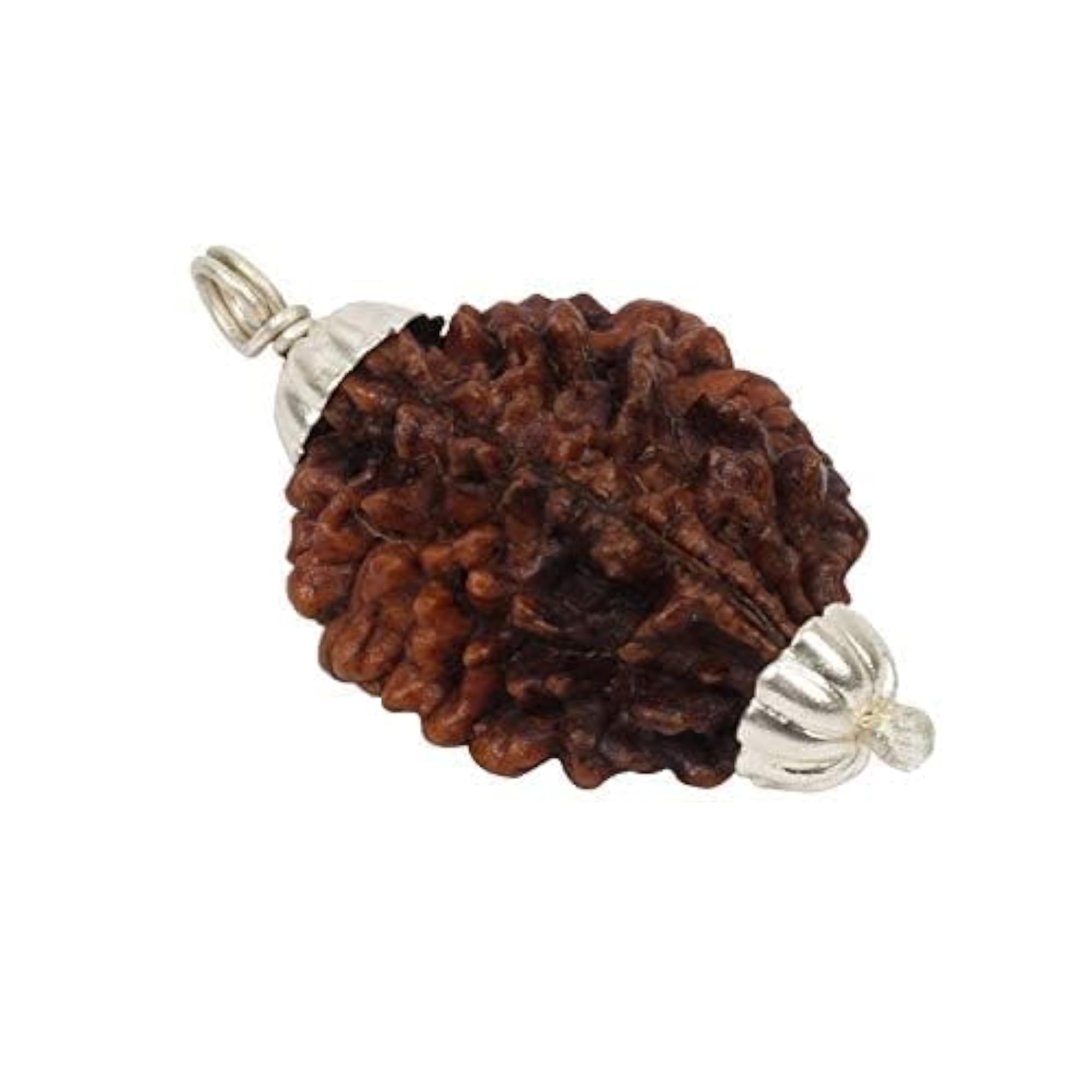2 Mukhi Rudraksha Pendant, Certified Natural Brown Bead