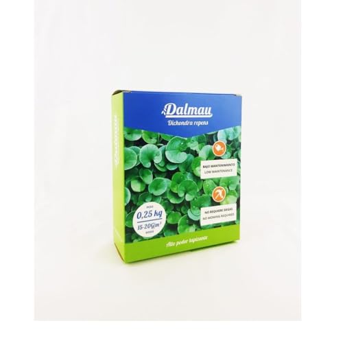 Semillas de Césped Dichondra - 250 g