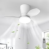 【Silence absolu et confort au quotidien】Grâce à son moteur ultra silencieux (30‑45dB), ce ventilateur plafond silencieux élimine les bruits gênants, vous offrant un environnement calme et reposant en toute circonstance.