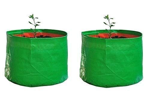 YUVAGREEN Heavy Duty Terrace Gardening Leafy Vegetable Green Grow Bag (15" X 9") - (Pack of 2) (B09FFMPMRV) Amazon Price History, Amazon Price Tracker