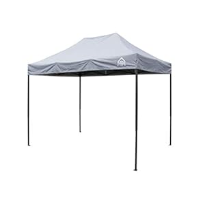 All Seasons Gazebos, 3 x 2 m, robuust, volledig waterdicht, premium pop-up tuinhuisje + draagtas en gewichten (metallic grijs)