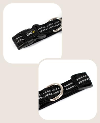 lionto Hundehalsband aus strapazierfähigem Nylon, Größe XS, weiches gepolstertes Halsband für Hunde, 360° reflektierend & Klickverschluss, Metallring & Anpassung durch stufenlosen Schieber, schwarz