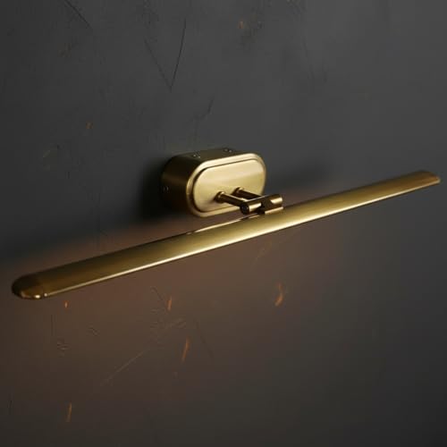 12W LED Picture Light for Wall | Antique Brass Finish | 3CCT Warm...