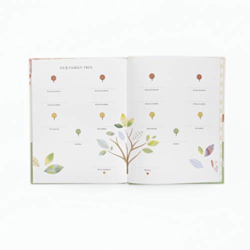 Dear Grandchild, This Is Me: A Gift of Stories, Wisdom, and Off-the-Record Tales - Thumbnail 6