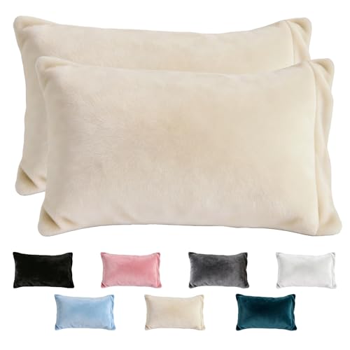 SDY Fleece Pillow Cases Queen Size Set of 2, Warm & Comfy Flannel Pillowcases for RV, Couch, Sofa, Bedroom，Fuzzy Velvet Pillow Shams for All Seasons (20