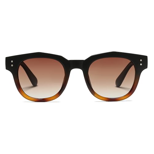 Sunglasses for Women Men Round Classic Polarized Vintage Style