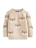 NEXT Jungen Gestrickter Rundhalspullover Neutral Fox Print 92-98