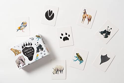 Match a Track: Match 25 Animals to Their Paw Prints - Image 5