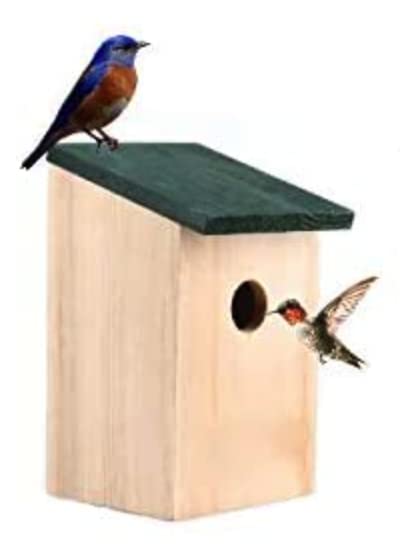 ALAYSTAR Wooden Wild Bird Nest Box House for Blue Tit Robin Sparrow