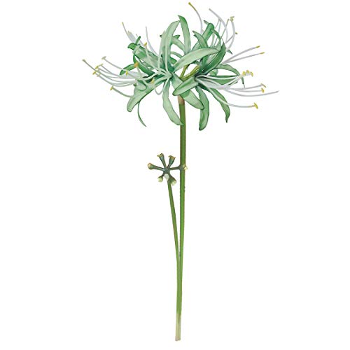 Image of 6 Stems 26.38 Inch Artificial Lycoris Radiata Spider Lily Flowers for Home Garden Decoration (Green)