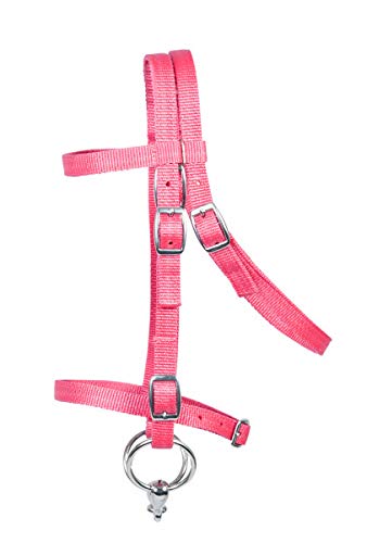 Pfiff 102291 Juego completo de sillín para Shetty y caballos de madera/peluche, color rosa