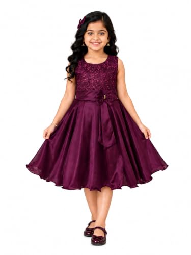 Image of Wish Karo Baby Girls Knee Length Lycra Dress (fe2644clr)
