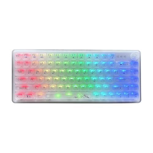 ROTISNAR × EWEADN V82 透明メカニカルキーボード 81キー+1 ノブ 付き 75%レイアウト 3モード無線接続 Bluetooth/2.4G/Type-C ワイヤレスキーボード ホットスワップ対応 RGBライト Mac/Win対応 ゲー