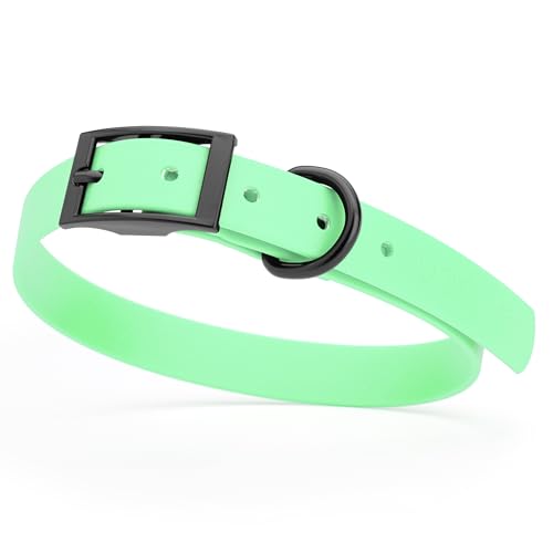 Image of Dogline Biothane Waterproof Dog Collar Strong Coated Nylon Webbing with Black Hardware Odor- Proof for Easy Care Easy to Clean High Performance Fits Small Medium or Large Dogs, Sea Foam Green