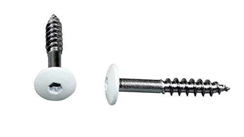 Foto von SN-TEC Fassadenschrauben Rostfrei Edelstahl V4A 5,5x35 mm, weiß Pulverbeschichtet RAL 9010 mit Torx T20 Aufnahme (Mengenauswahl möglich 10|25|50|100|500)) (25)