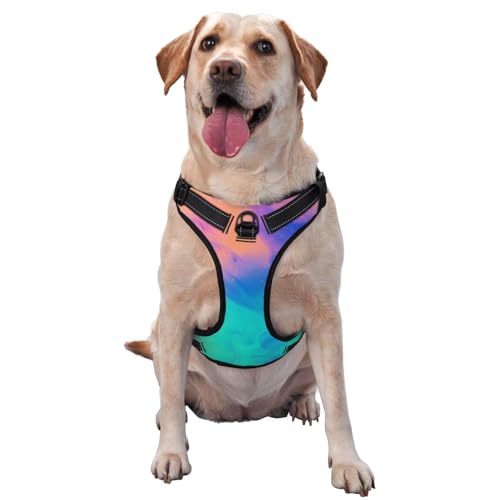 Blend-Color-Rainbow-Paint-Ink-Pastel-Pattern-Pet-Leash-Harness-Adjustable-Reflective-Dog-Vest-Harness-Fits-Most-Pets-for-Walking-Training-with-Accessories-X-Large