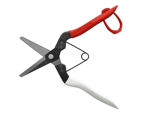 Image of Okatsune Onion Shears NO.306