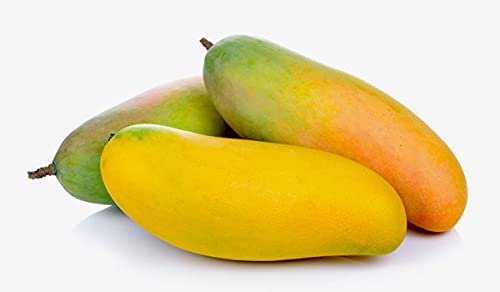 ROYAL LAND Rare Exotic Grafted Mahachanok Mango Mangifera indica 1 Healthy live Plant (B096CCXN8M) Amazon Price History, Amazon Price Tracker