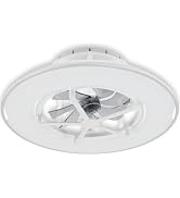 Amazon | ORALUCE シーリングファンライト 12畳 首振り ファン付き LED